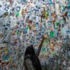 Plastic debris kills more than a million seabirds and 100,000 marine mammals each year