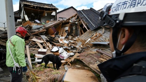 Elsa the rescue dog helps firefighters search for people in quake-hit Wajima