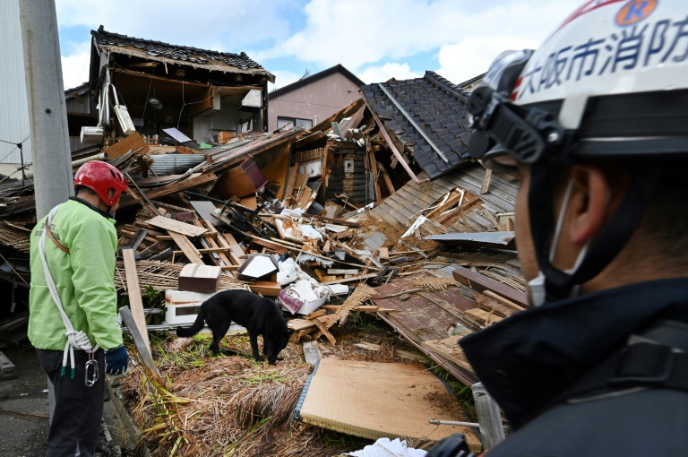 Elsa the rescue dog helps firefighters search for people in quake-hit Wajima