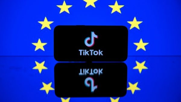 Tech giants Meta and TikTok are contesting the scope of an EU law that from March will set new rules on competition in the digital marketplace