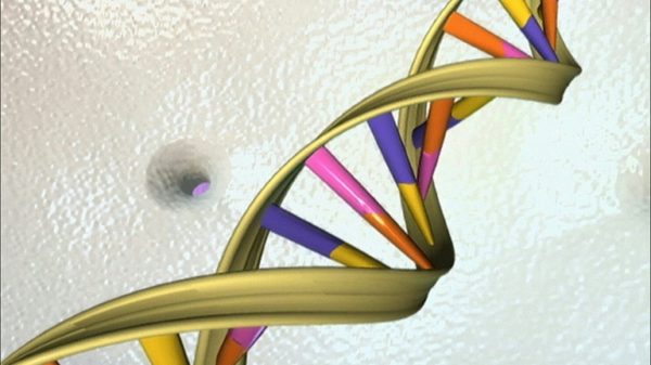 Google's new AI tool can read DNA like a language, and see immediately if a word substitution will change the meaning of that sentence, the company says