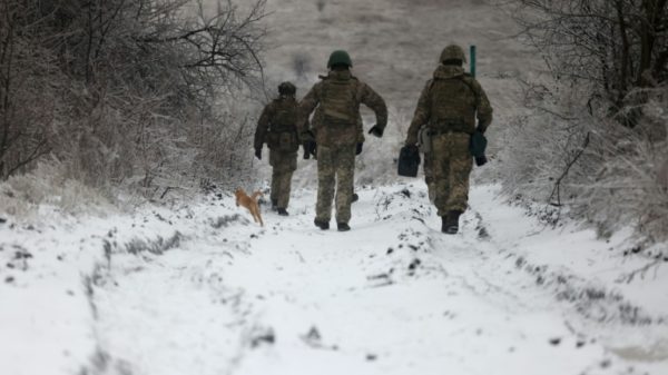 Ukraine does not reveal its losses or the number of soldiers deployed at the front
