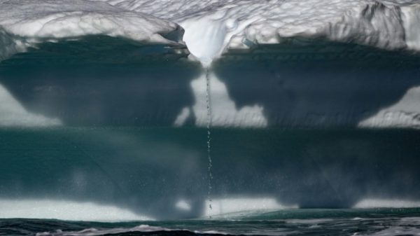 Water falling from a melting iceberg drifting along the Scoresby Sound Fjord, in Eastern Greenland