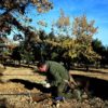 Jose Soriano left his job as a forest ranger to cultivate truffles full-time