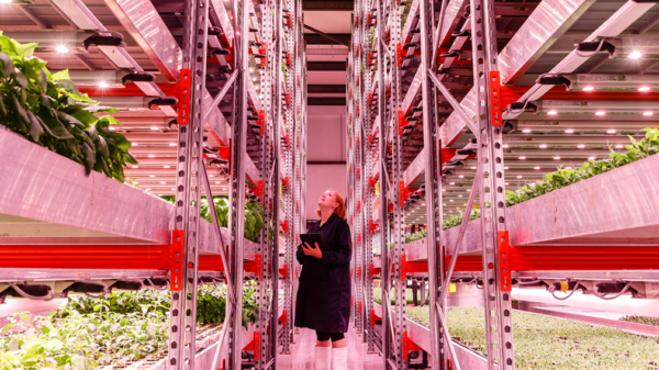 Findbusinesses4sale explored what the rise of vertical farming can mean for domestic food production, using Department of Agriculture data. 